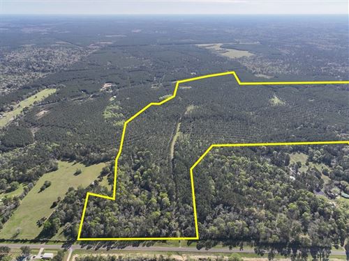 380 Acres, T-7, FM 2610 : Livingston : Polk County : Texas