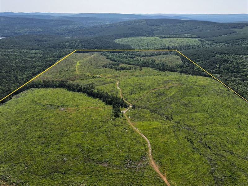 330 Acres, D4289 Road, Pushmataha : Clayton : Pushmataha County : Oklahoma