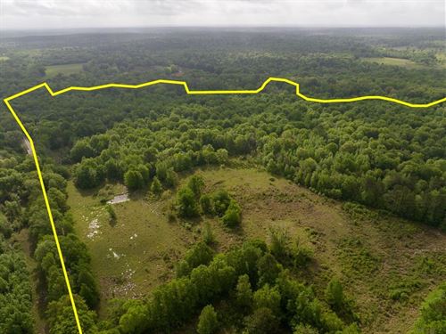 54 Acres, Fodice Road : Crockett : Houston County : Texas