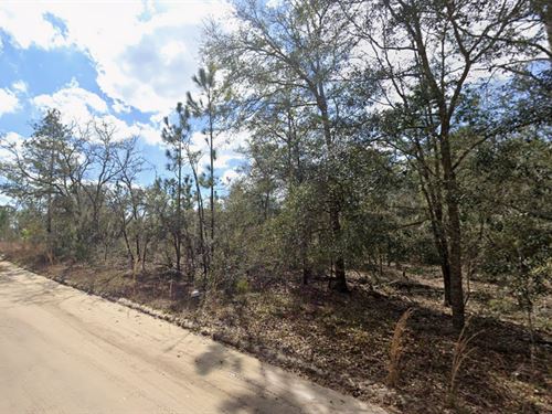 Welcome to Sunny Interlachen : Interlachen : Putnam County : Florida