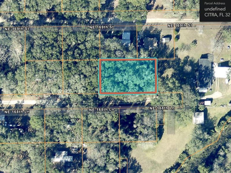 Are You Tired of Living in a Concre : Citra : Marion County : Florida
