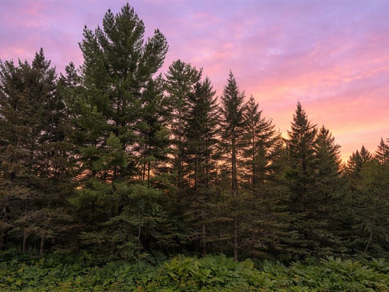 Zero Down to Build Your Dream Cabin : Cable : Bayfield County : Wisconsin
