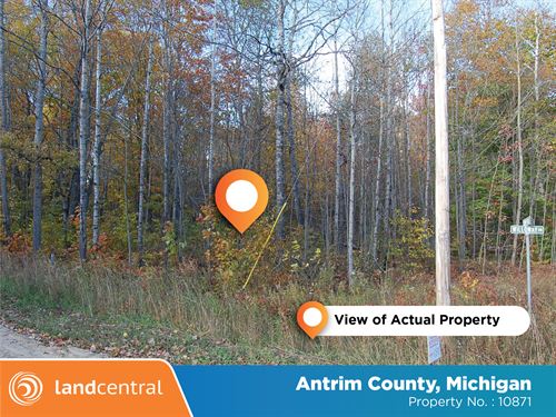 .67 Acre in Picturesque Michigan : Elmira : Antrim County : Michigan