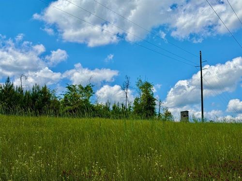 10.5 Acre Elrod, Alabama : Elrod : Tuscaloosa County : Alabama