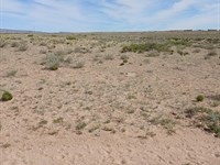 Grab Your Slice Of Freedom : Veguita : Socorro County : New Mexico