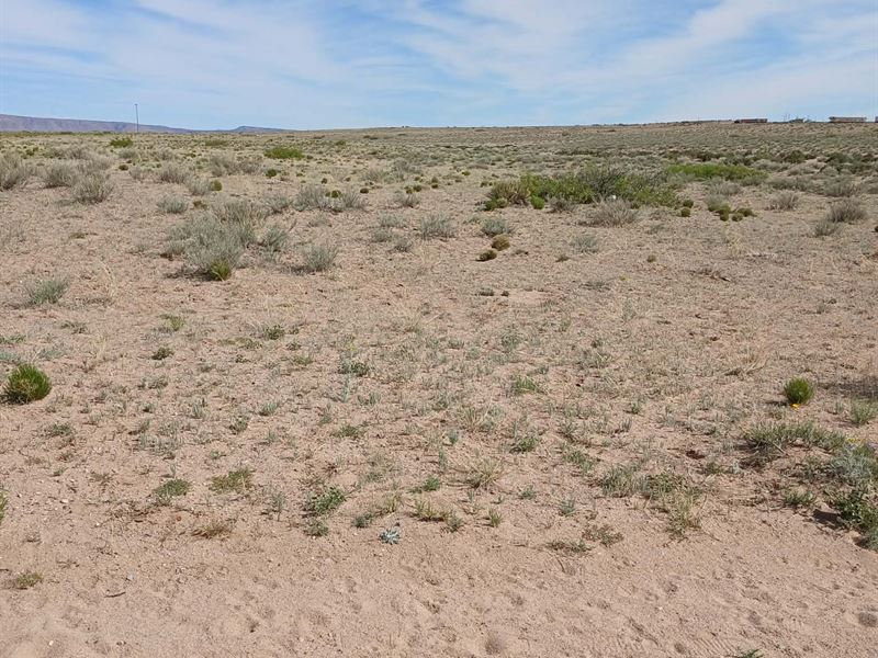 Grab Your Slice Of Freedom : Veguita : Socorro County : New Mexico