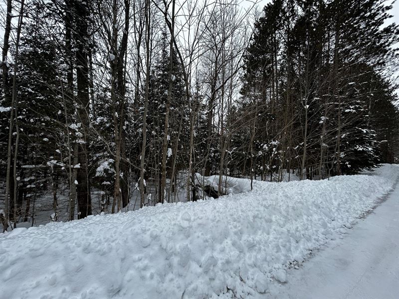 Wooded Parcel Near Boulder Junction : Presque Isle : Vilas County : Wisconsin