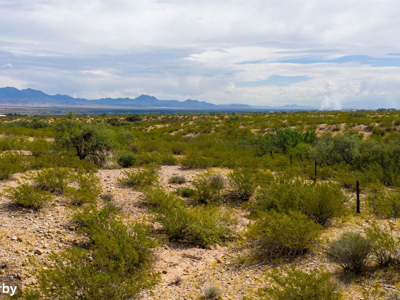Building Lot Near Historic Route 80 : Douglas : Cochise County : Arizona