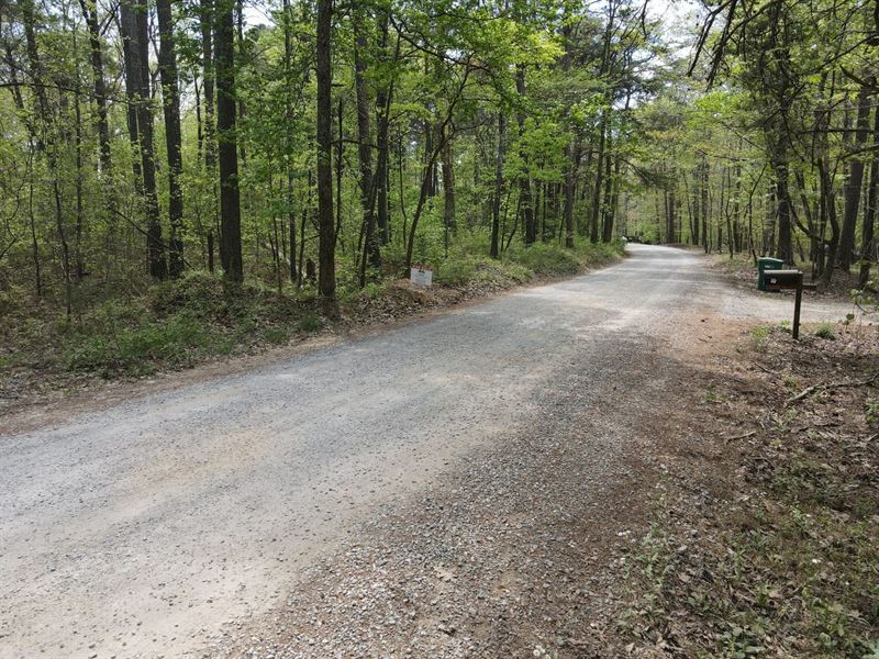 Little River Acreage : Blanche : Cherokee County : Alabama