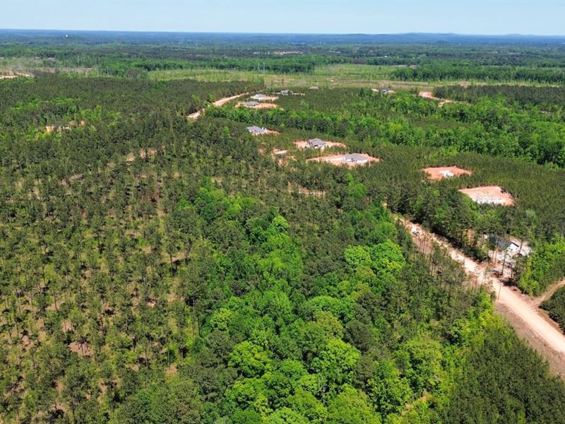 10 Acres Salem, AL : Salem : Lee County : Alabama