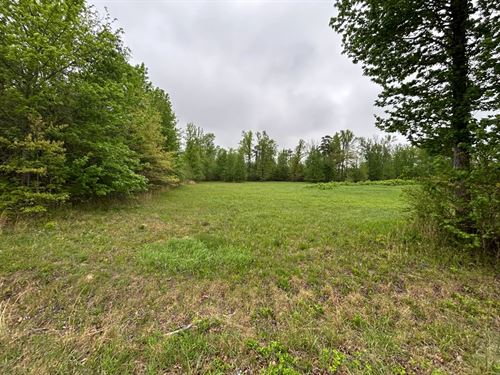 .51 Acres Lot 8E in Polk County : Mena : Polk County : Arkansas