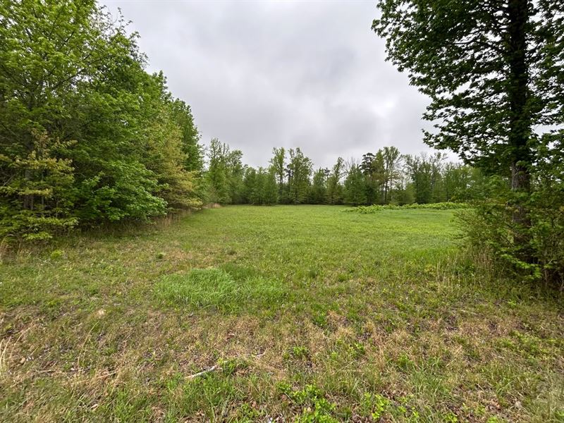 .95 Acres Lot 8C in Polk County : Mena : Polk County : Arkansas