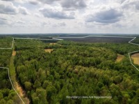 Elk Pond Creek 266 Acres Muhlenberg : Greenville : Muhlenberg County : Kentucky