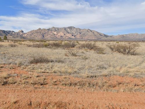 Basecamp for Desert Adventure : Sunsites : Cochise County : Arizona
