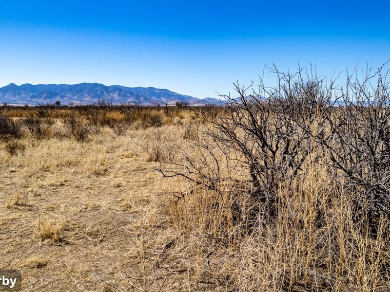 1 Acre Homesite in Cochise County : Douglas : Cochise County : Arizona