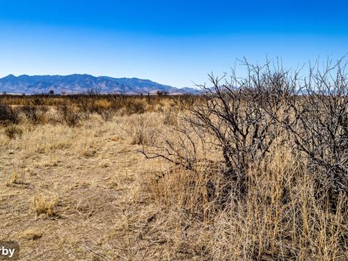 1 Acre Homesite in Cochise County : Douglas : Cochise County : Arizona