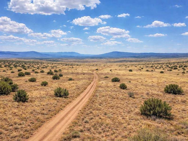 Desert Freedom Starts Here : Chambers : Apache County : Arizona