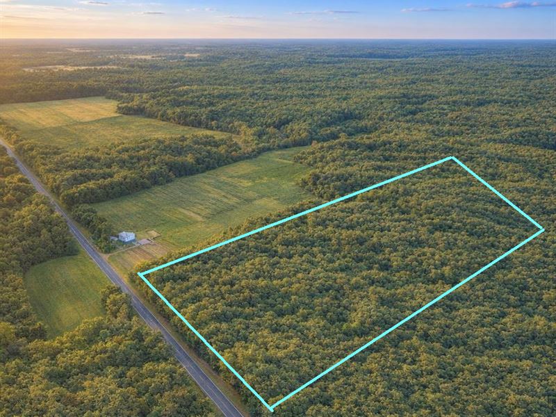80 Acres of Hunting Paradise : Sheldon : Rusk County : Wisconsin