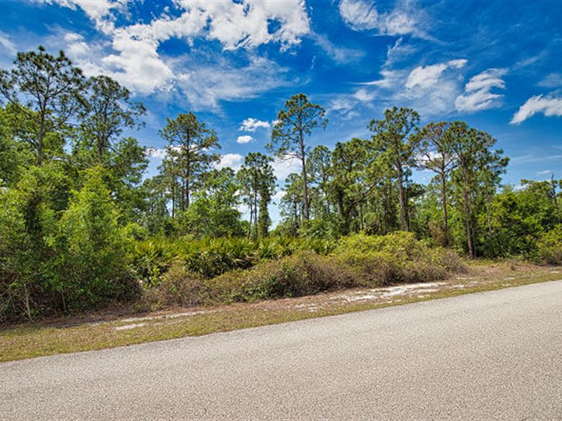 Double Lot in Punta Gorda : Punta Gorda : Charlotte County : Florida