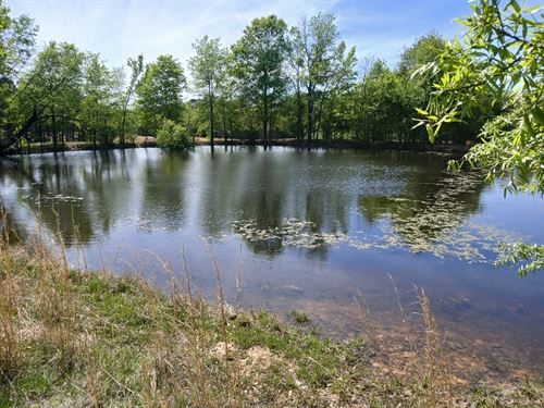 158 Acres OK Ranch, Creek : Antlers : Pushmataha County : Oklahoma