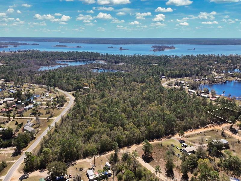 1,55 Acres in Seminole County, GA : Donalsonville : Seminole County : Georgia
