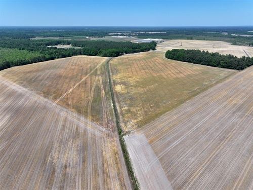Large Farm with Possible Home Sites : Red Springs : Hoke County : North Carolina