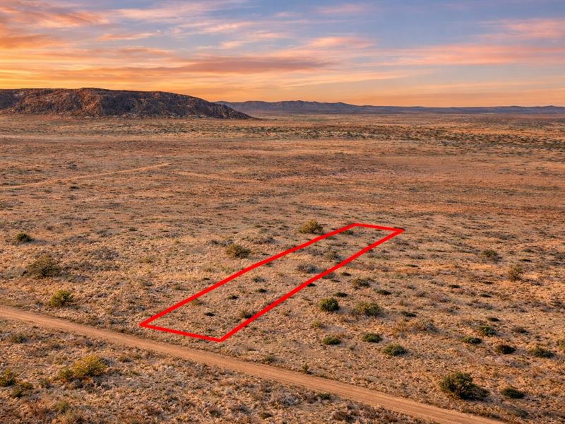 1.19 Acre Owner Financing : Snowflake : Navajo County : Arizona