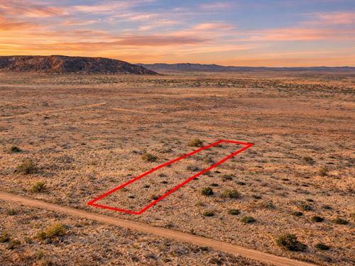 1.19 Acre Owner Financing : Snowflake : Navajo County : Arizona