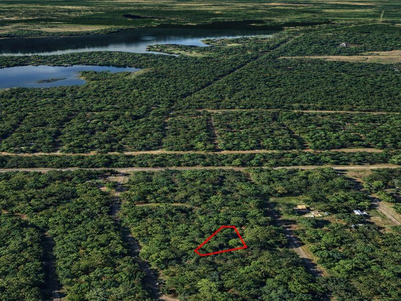 .18 Acre Wooded Lot Near Lake : Mount Vernon : Franklin County : Texas