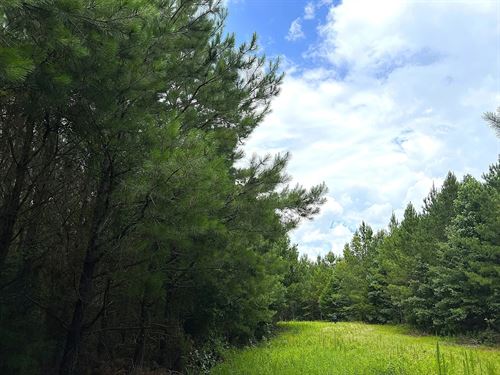 Denver Road 80 : Dadeville : Tallapoosa County : Alabama