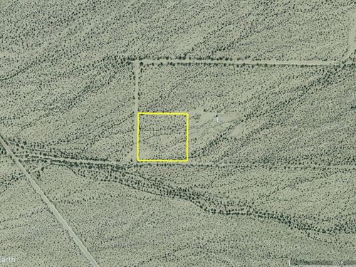 Bordering Blm Near Buck Mountains : Yucca : Mohave County : Arizona