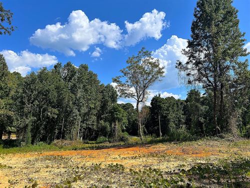 Red Hill Lot : Eclectic : Elmore County : Alabama