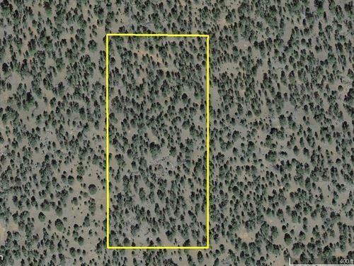 Heavily Wooded, Camp/Rv Or Build : Ramah : Cibola County : New Mexico