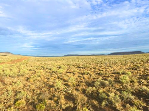 Lot with Mountain Views, Near River : San Luis : Costilla County : Colorado