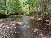 Affordable, Creek, Tiny Home Site : Parrish : Walker County : Alabama