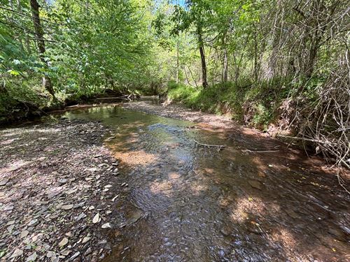 Affordable, Creek, Tiny Home Site : Parrish : Walker County : Alabama