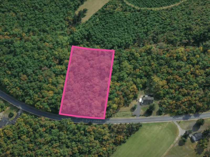 Your Dream Starts Here, 2 Acre : Freeman : Brunswick County : Virginia