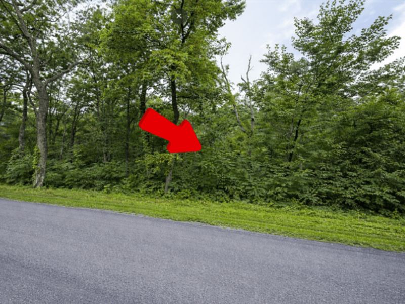 .65 Acre Land in Winchester, VA : Winchester : Frederick County : Virginia