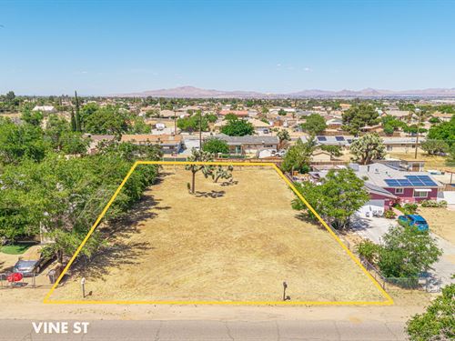 Prime Hesperia Homesite : Hesperia : San Bernardino County : California