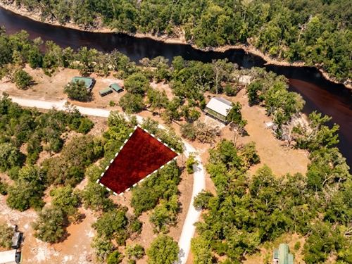 Peaceful Land Near Lake and Springs : Live Oak : Suwannee County : Florida
