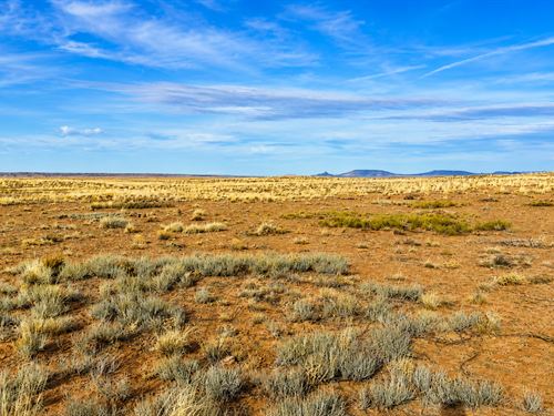 7.5 Acres, No HOA, Only $225/Mo : Sun Valley : Navajo County : Arizona