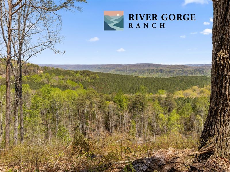 River Gorge Ranch Ridgeline View : Guild : Marion County : Tennessee