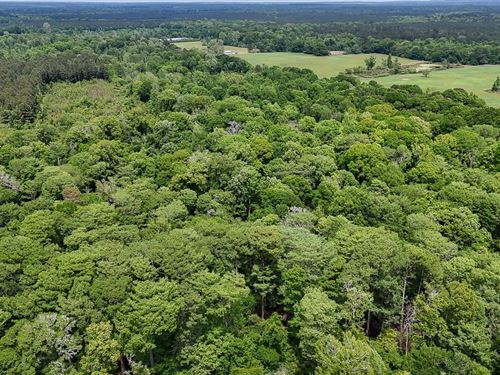 Lick Creek Tract : Mount Union : Union Parish : Louisiana