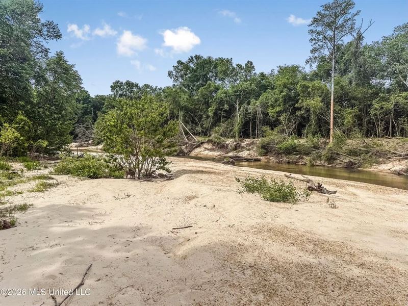 23 Acres of Riverfront Property Wit : Tylertown : Pike County : Mississippi