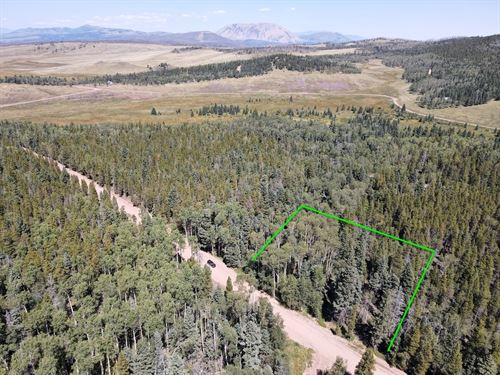 Mountain Land for Sale in Colorado : Fort Garland : Costilla County : Colorado