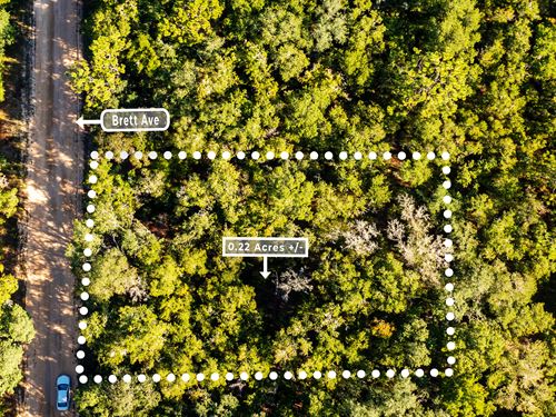 R-2 Lot, Interlachen Lakes, FL : Interlachen : Putnam County : Florida