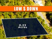 Sunny Hills Fl, Paved R-2 Lot : Chipley : Washington County : Florida