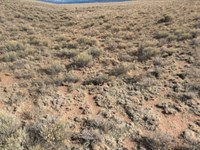 169 Down Gets You Land : Mesita : Costilla County : Colorado