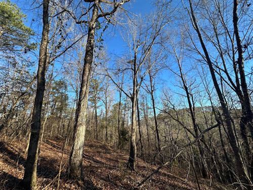 38 Acres in Hale County Joining Tal : Greensboro : Hale County : Alabama