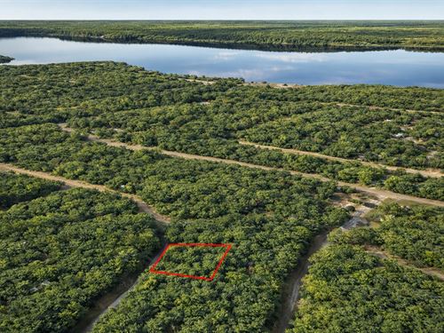 .16 Acre Near Lake Cypress Springs : Mount Vernon : Franklin County : Texas